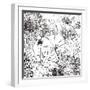 Contemporary Garden I Black and White-Michael Mullan-Framed Art Print