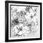 Contemporary Garden II Black and White-Michael Mullan-Framed Art Print