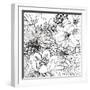 Contemporary Garden II Black and White-Michael Mullan-Framed Art Print