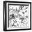 Contemporary Garden II Black and White-Michael Mullan-Framed Art Print