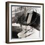 Contemporary III-Joyce Combs-Framed Art Print