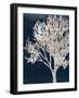 Contemporary Indigo Garden-Sheldon Lewis-Framed Art Print