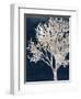 Contemporary Indigo Garden-Sheldon Lewis-Framed Art Print