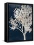 Contemporary Indigo Garden-Sheldon Lewis-Framed Stretched Canvas