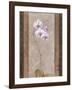 Contemporary Orchid I-null-Framed Giclee Print