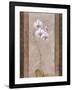 Contemporary Orchid I-null-Framed Giclee Print