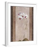 Contemporary Orchid II-null-Framed Giclee Print