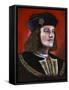 Contemporary Painting of King Richard III (1452-148), 2013-Karen Humpage-Framed Stretched Canvas