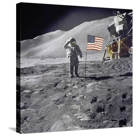 Stretched Canvas Print, , large