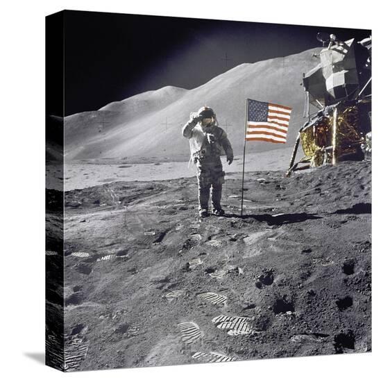 Stretched Canvas Print, , large