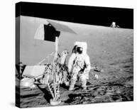 Apollo 17 - 1972-null-Framed Stretched Canvas