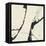 Contemporary Scroll Square I-Chris Paschke-Framed Stretched Canvas