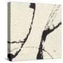 Contemporary Scroll Square I-Chris Paschke-Stretched Canvas
