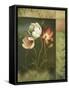 Contemporary Tulips-Lisa Audit-Framed Stretched Canvas