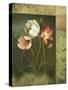Contemporary Tulips-Lisa Audit-Stretched Canvas