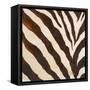 Contemporary Zebra III-Patricia Pinto-Framed Stretched Canvas