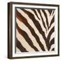 Contemporary Zebra III-Patricia Pinto-Framed Art Print