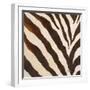 Contemporary Zebra III-Patricia Pinto-Framed Art Print