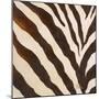 Contemporary Zebra III-Patricia Pinto-Mounted Premium Giclee Print