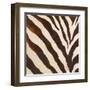 Contemporary Zebra III-Patricia Pinto-Framed Art Print