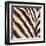 Contemporary Zebra III-Patricia Pinto-Framed Art Print