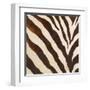 Contemporary Zebra III-Patricia Pinto-Framed Art Print