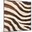 Contemporary Zebra IV-Patricia Pinto-Mounted Premium Giclee Print