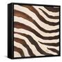 Contemporary Zebra IV-Patricia Pinto-Framed Stretched Canvas