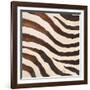 Contemporary Zebra IV-Patricia Pinto-Framed Art Print