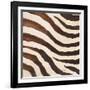 Contemporary Zebra IV-Patricia Pinto-Framed Art Print