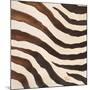 Contemporary Zebra IV-Patricia Pinto-Mounted Art Print