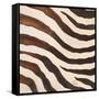 Contemporary Zebra IV-Patricia Pinto-Framed Stretched Canvas