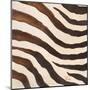 Contemporary Zebra IV-Patricia Pinto-Mounted Art Print