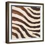 Contemporary Zebra IV-Patricia Pinto-Framed Art Print