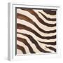 Contemporary Zebra IV-Patricia Pinto-Framed Art Print