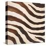 Contemporary Zebra IV-Patricia Pinto-Stretched Canvas