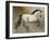 Contender-Dupre-Framed Giclee Print