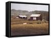Contented 1-David Knowlton-Framed Stretched Canvas