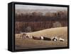 Contented 3-David Knowlton-Framed Stretched Canvas