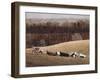 Contented 3-David Knowlton-Framed Giclee Print