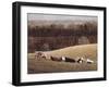 Contented 3-David Knowlton-Framed Giclee Print