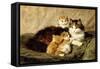 Contentment, 1900-Henriette Ronner-Knip-Framed Stretched Canvas