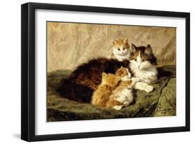 Contentment, 1900-Henriette Ronner-Knip-Framed Giclee Print