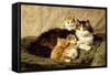 Contentment, 1900-Henriette Ronner-Knip-Framed Stretched Canvas