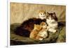 Contentment, 1900-Henriette Ronner-Knip-Framed Giclee Print