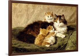 Contentment, 1900-Henriette Ronner-Knip-Framed Giclee Print