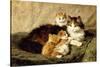 Contentment, 1900-Henriette Ronner-Knip-Stretched Canvas