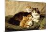 Contentment, 1900-Henriette Ronner-Knip-Mounted Giclee Print