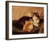 Contentment-Henriette Ronner-Knip-Framed Art Print