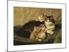 Contentment-Henriette Ronner-Knip-Mounted Premium Giclee Print